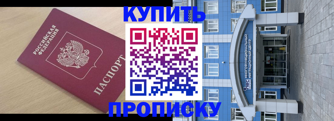 прописка поиск в Курске
